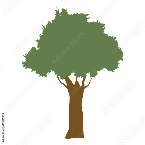 tree natural forest banch foliage image vector illustration