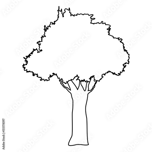 tree natural forest banch foliage image vector illustration