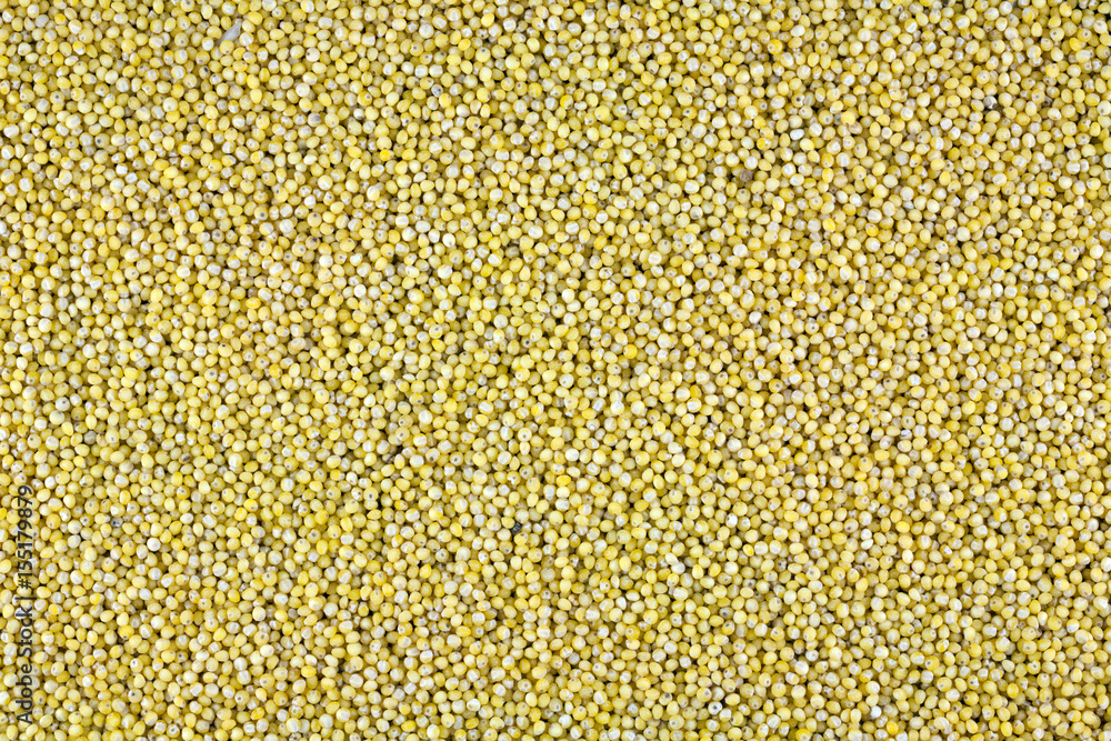 Closeup of millet for background Closeup of millet for background