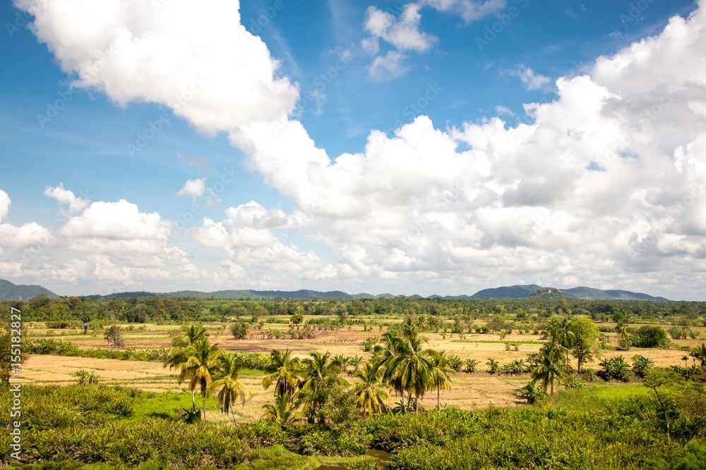 Beautiful green fertile tropical landscape with blue skies and good weather. View from Sigiriya, Sri Lanka.