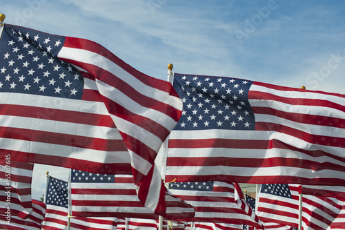 Obraz na plátne Field Full of Waving American Flags