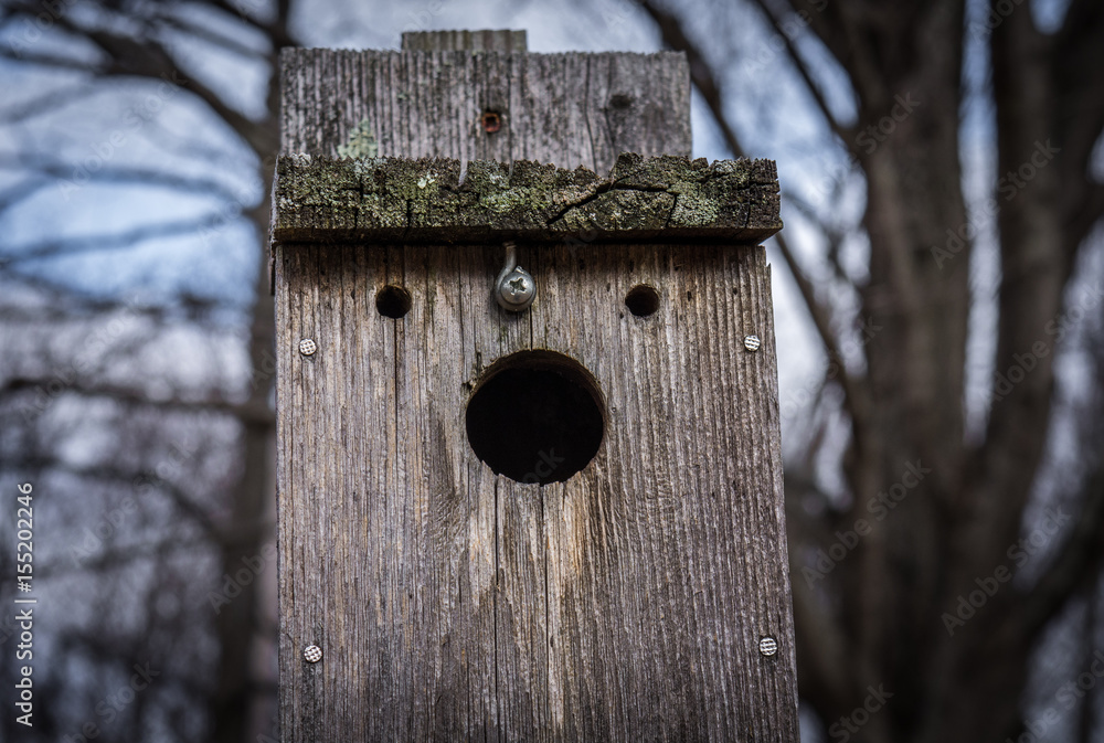Bird house or a face? Bird house or a face?