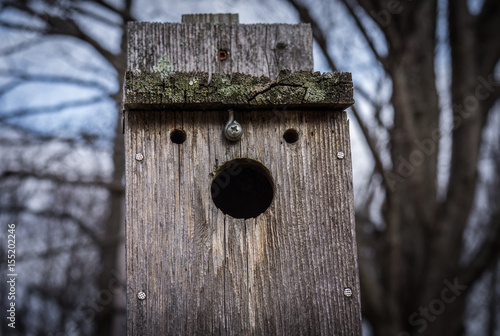 Bird house or a face? photo