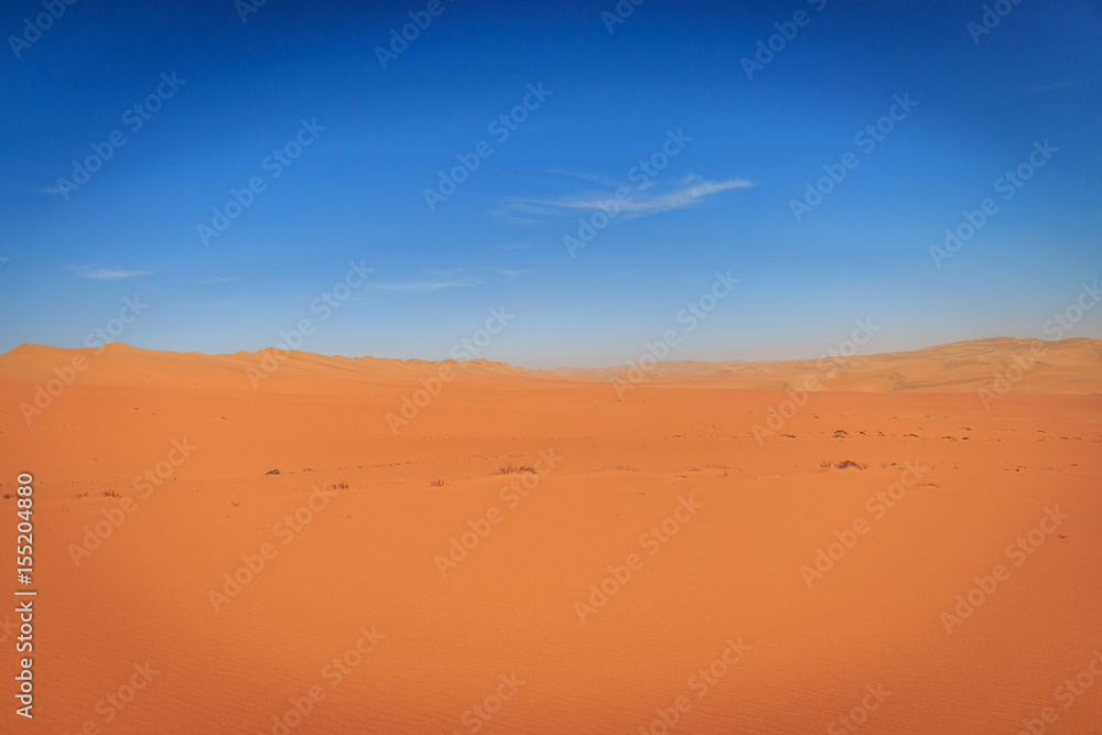 Sand dunes in the Namib desert.