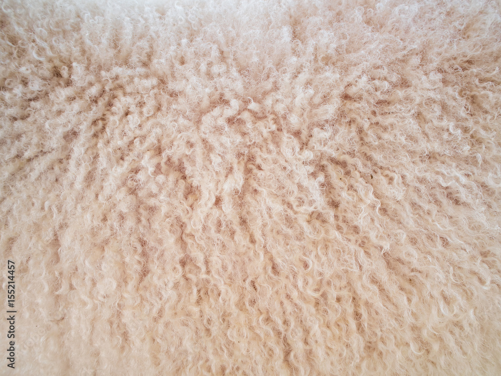 Soft and fluff long sheep wool Soft and fluff long sheep wool