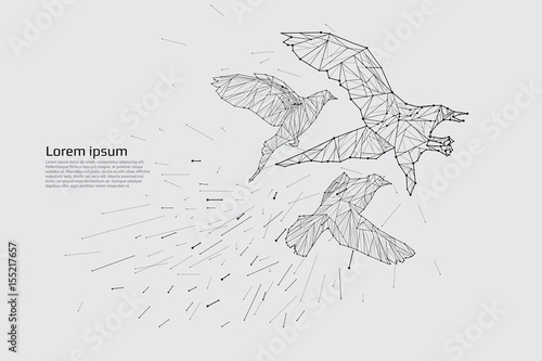 The bird flying with motion and effect