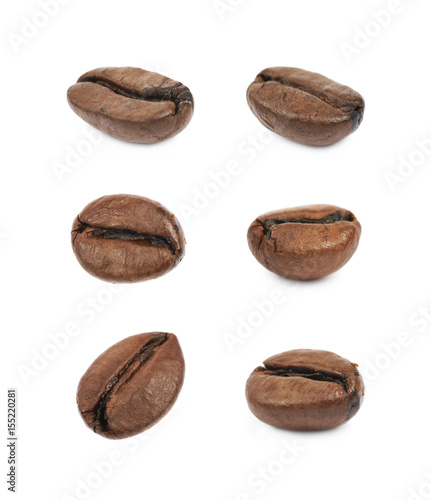 Single coffee bean isolated