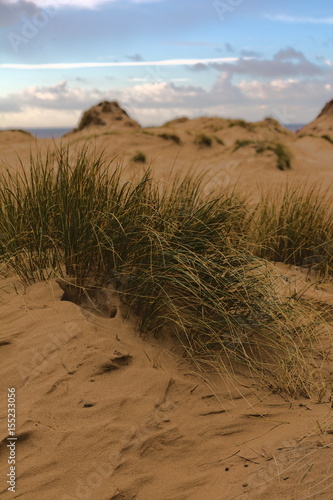 Sand dunes