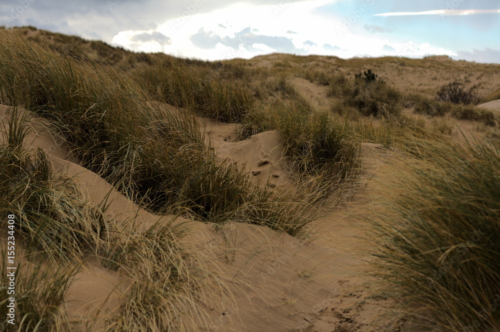 Sand dunes