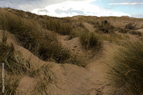Sand dunes
