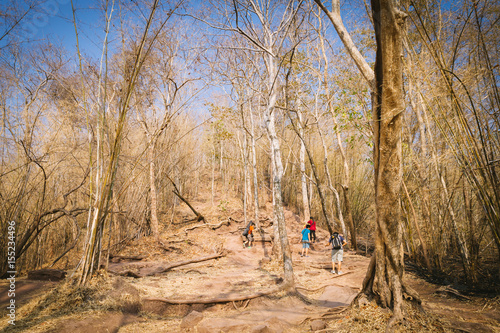 Tourist walking on nature trail in Phu Kradueng National Park, Thailand. photo