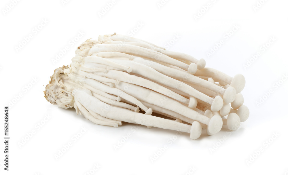 beech mushrooms, white, Shimeji mushroom, Edible mushroom isolated on white background beech mushrooms, white, Shimeji mushroom, Edible mushroom isolated on white background