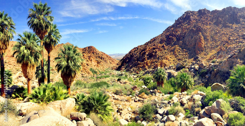 Palm oasis in Joshua Tree National Park