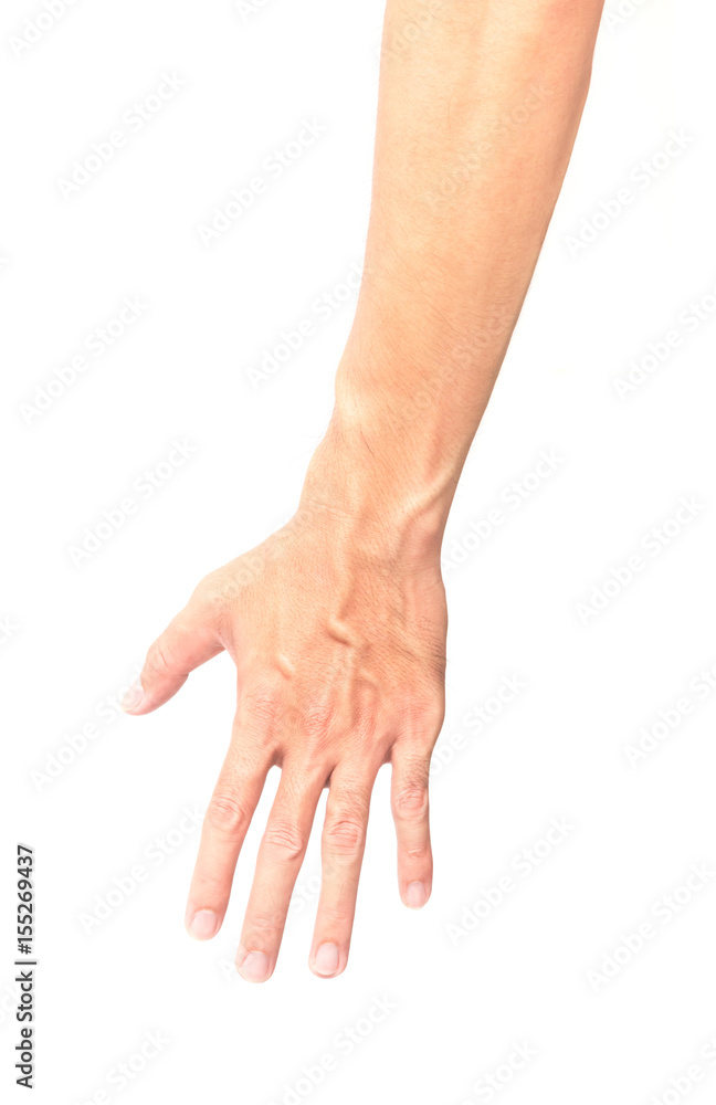 Man arm with blood veins on white background, health care and medical concept Man arm with blood veins on white background, health care and medical concept