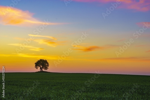 Colorful sunset over the spring field