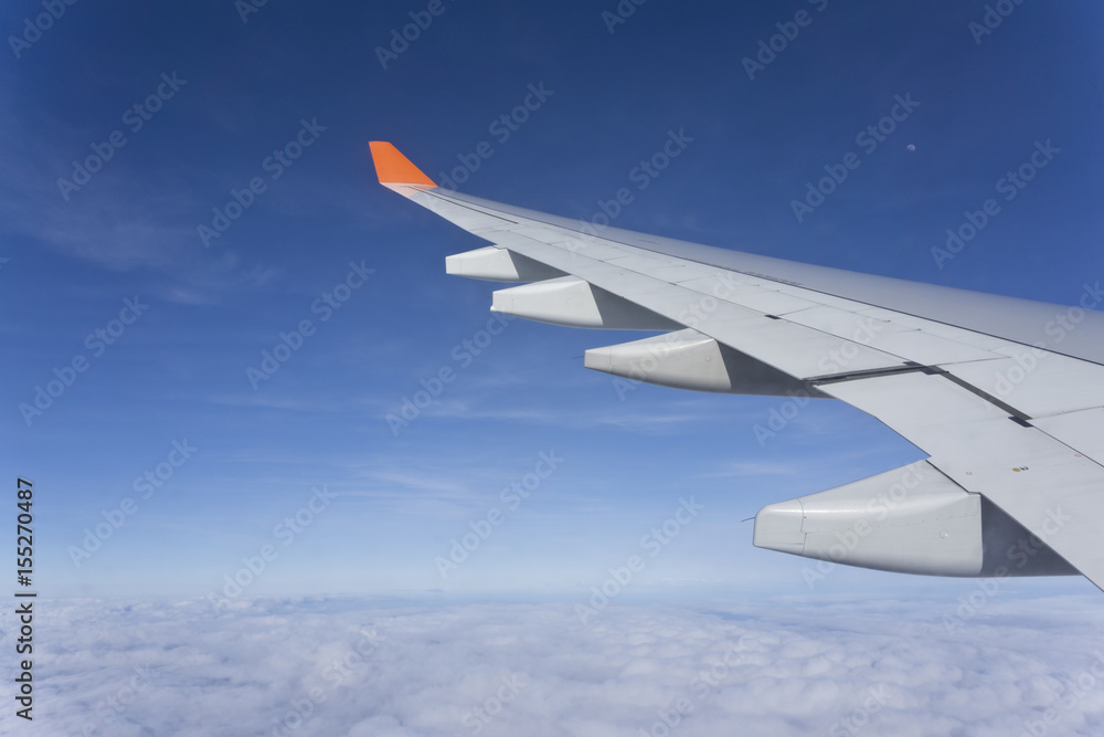 Obraz premium Fliegen