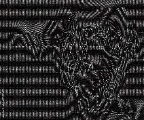 A faint figure out of the net; vector illustration.