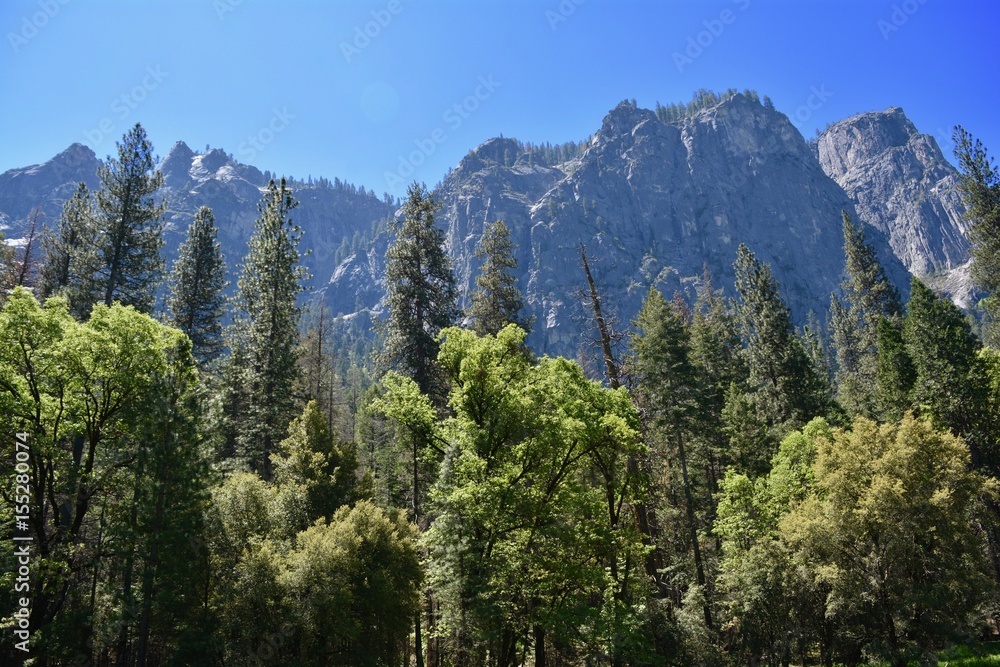 Yosemite National Park Landscape California