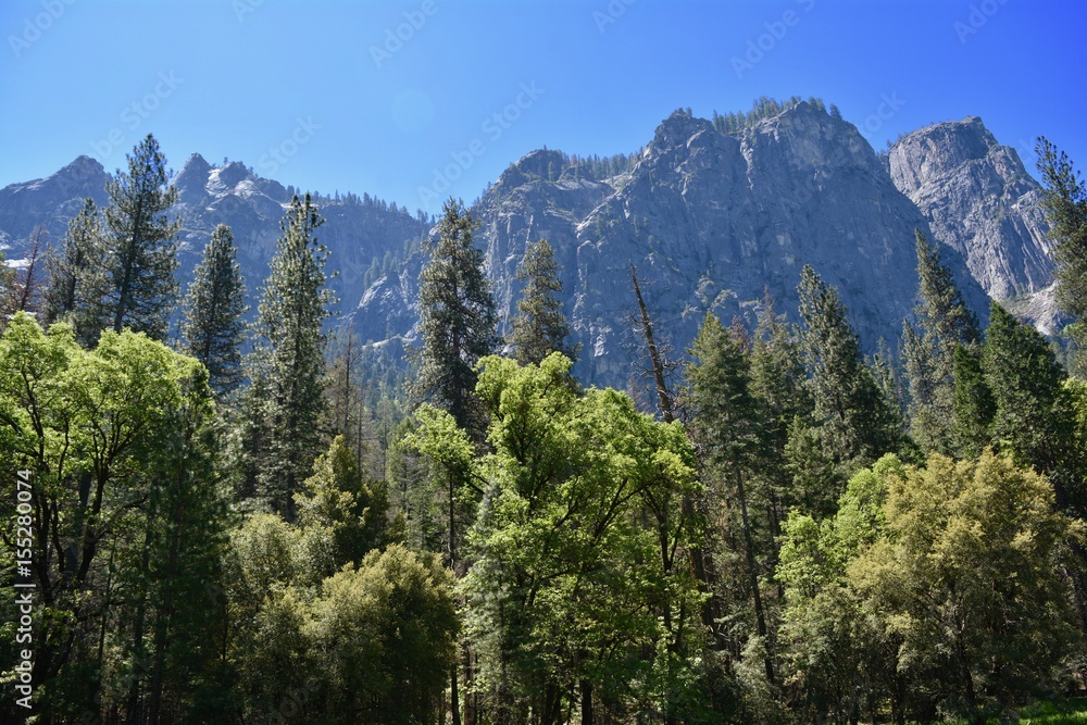 Yosemite National Park Landscape California Yosemite National Park Landscape California