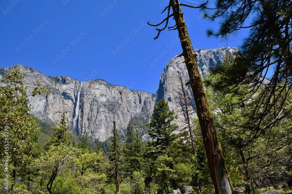 Fototapeta premium Yosemite National Park Landscape California