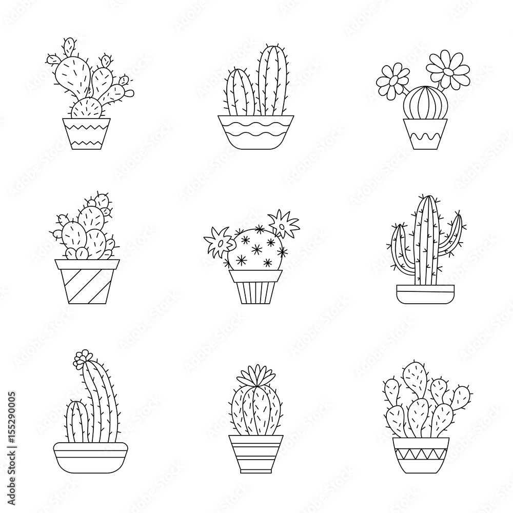 Cacti in pots. Cacti in pots.