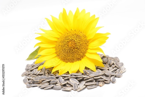 Sunflower stacked