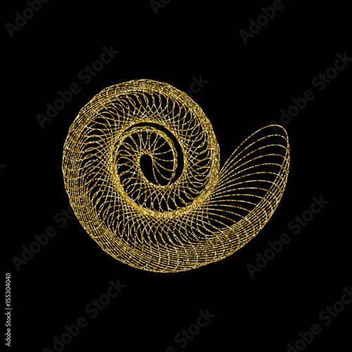 Nautilus vector illustration