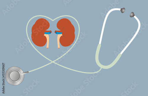 A concept for healthy kidneys. stethoscope in shape of heart.