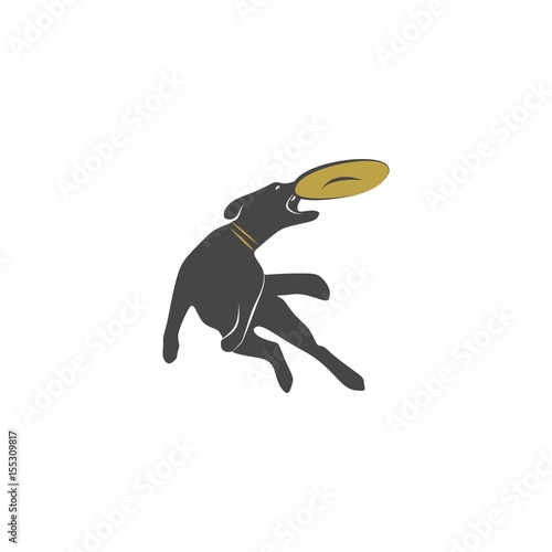 Dog agility vector illustration