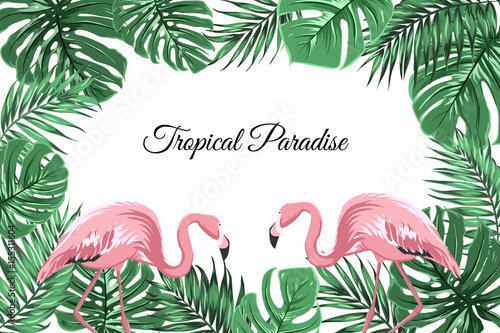 Exotic tropic landscape border frame template with greenery jungle palm tree monstera leaves and pink flamingo birds couple. Tropical paradise text placeholder. Vector design illustration.
