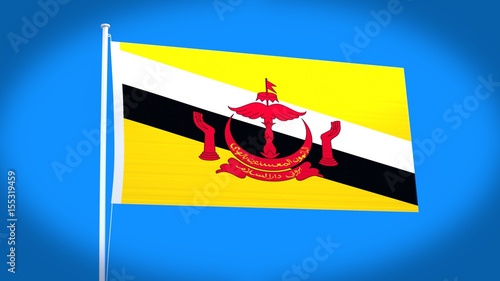 the national flag of Brunei

