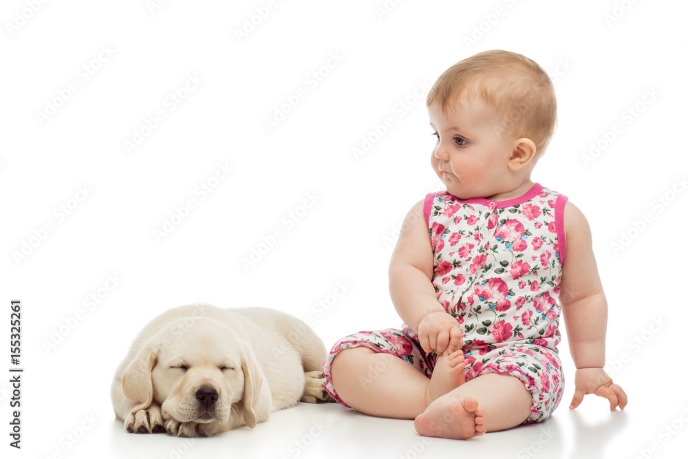Little baby girl with labrador puppy, isolated on white Little baby girl with labrador puppy, isolated on white