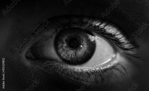 Macro shot of female human eye in black and white toned. photo