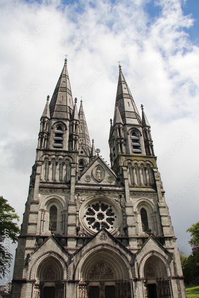 Saint Fin Barre's Cathedral Cork city Ireland