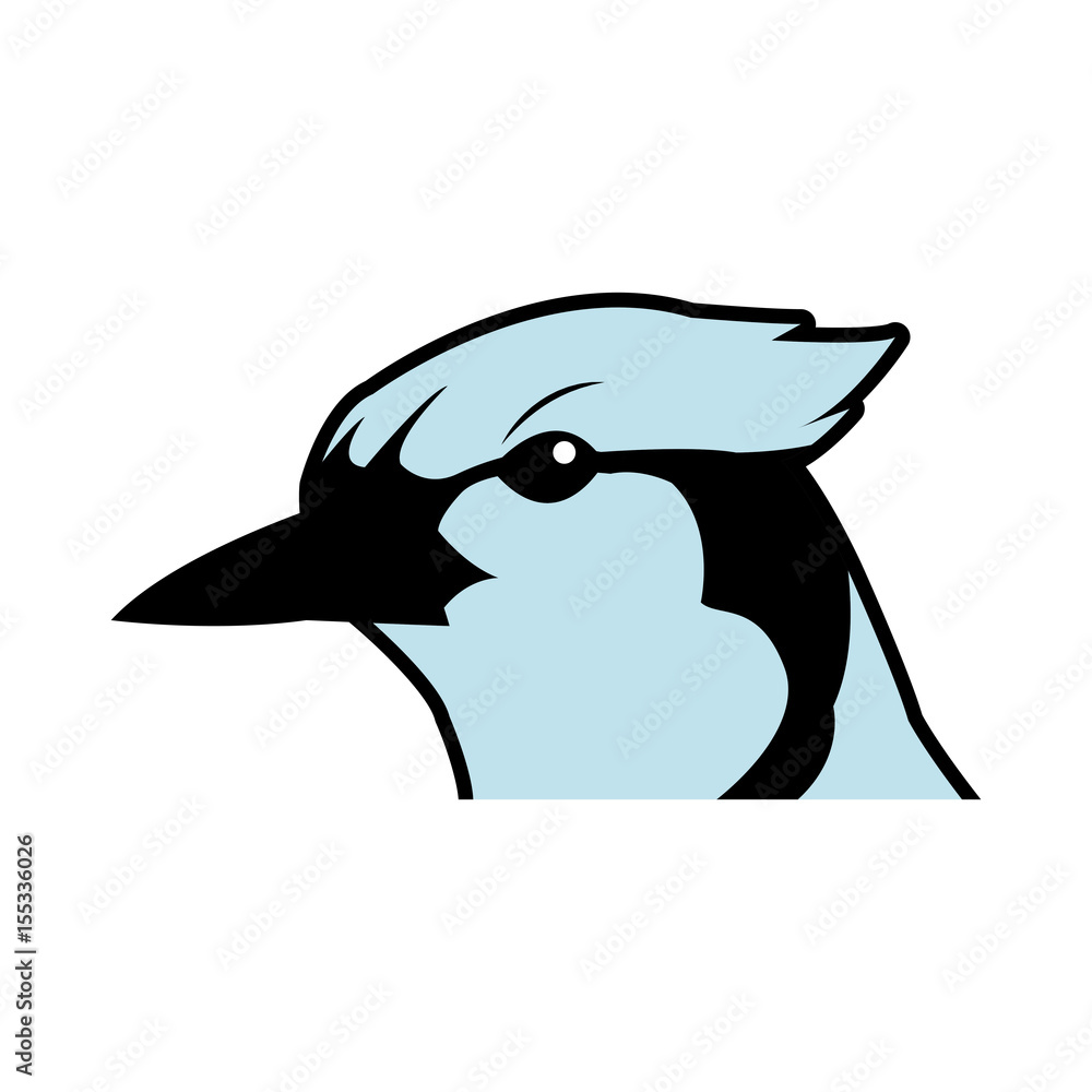 Fototapeta premium bird head natural feather fauna animal vector illustration