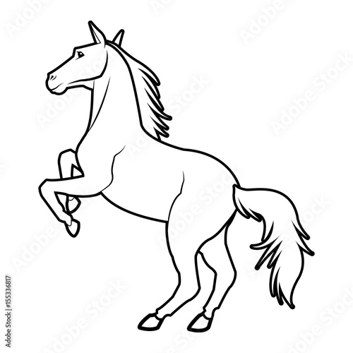 Horse on two legs equine animal line vector illustration
