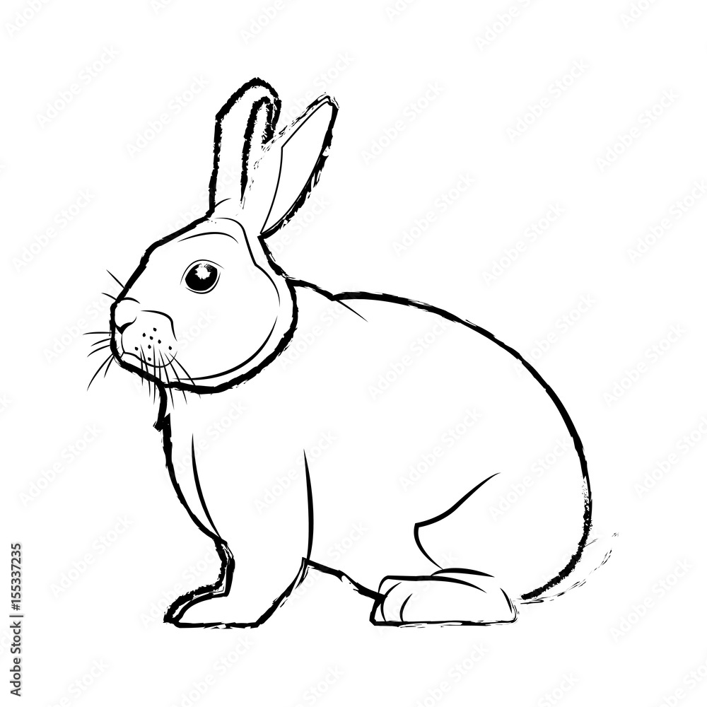 wild rabbit nature rodent farm image vector illustration wild rabbit nature rodent farm image vector illustration