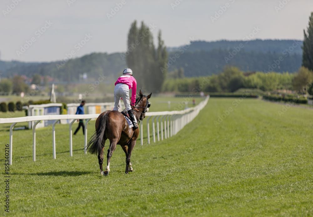 racing horse coming first to finish line racing horse coming first to finish line