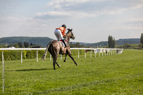 racing horse coming first to finish line © murmakova