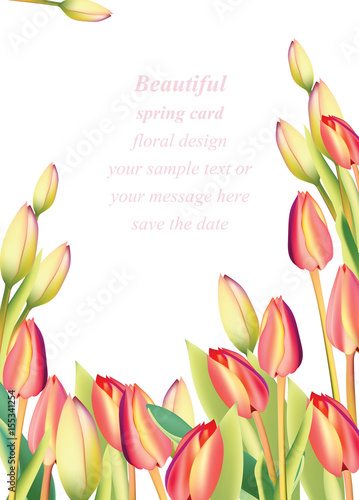 Red tulip flowers Spring season invitation background. Vector illustration
