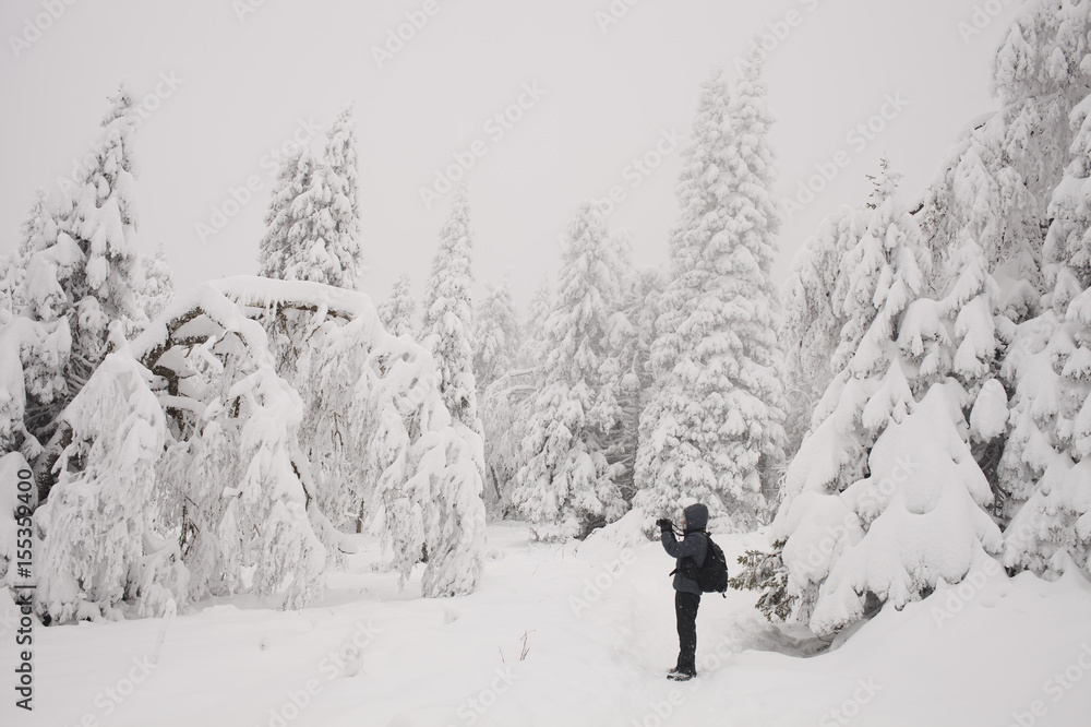 The traveler photographs a snowy forest in the mountains.