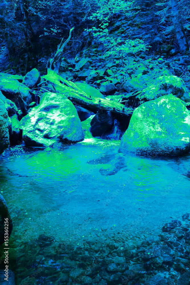 Sortie des eaux par des algues chlorophylliennes à l'ére primaire Sortie des eaux par des algues chlorophylliennes à l'ére primaire