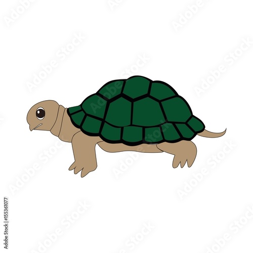 Turtles logo colored on a white background