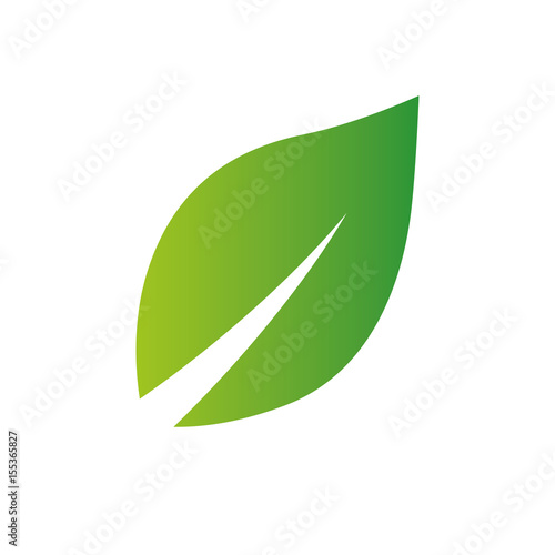 green leaf icon over white background. vector illustration