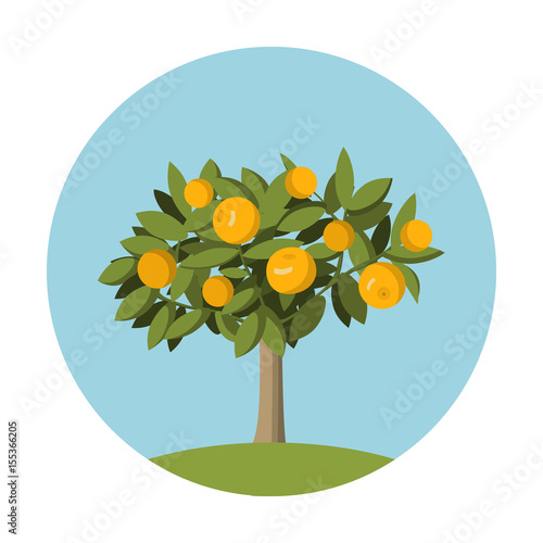 Orange fruit  tree in flat style.Design element for the websites gardening, shops of fruit and for an packing of oranges and juice