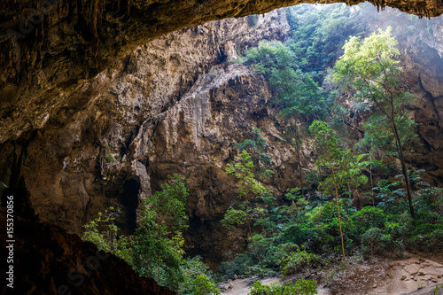 Vegetation and nature in Phraya Nakhon Cave photo