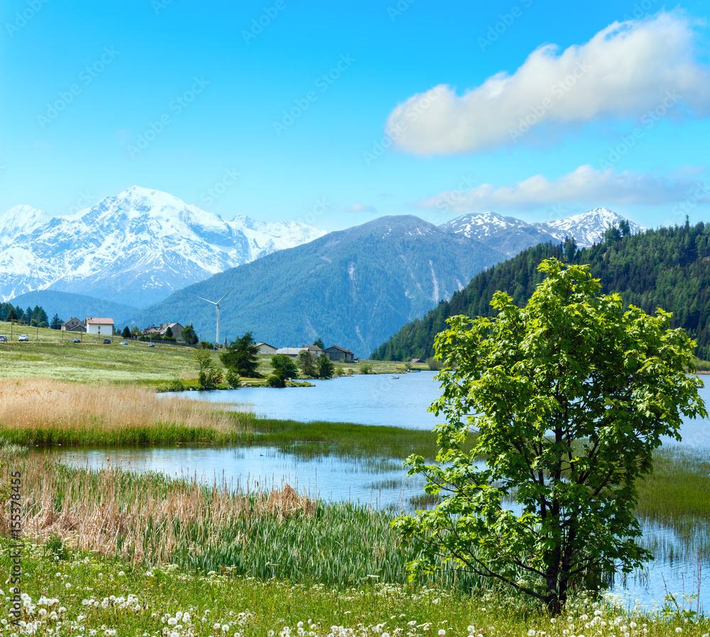 Summer mountain landscape with lake (Italy)