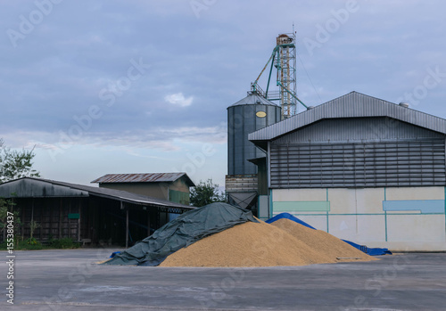 Abstract soft blurred of dry method of brown paddy rice seed ,how to oven heat the brown paddy rice seed, how to containment brown paddy rice seed in a big sack