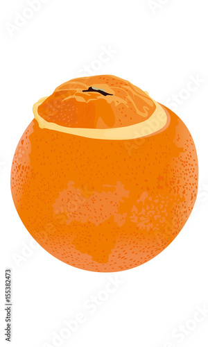 Orange givrée