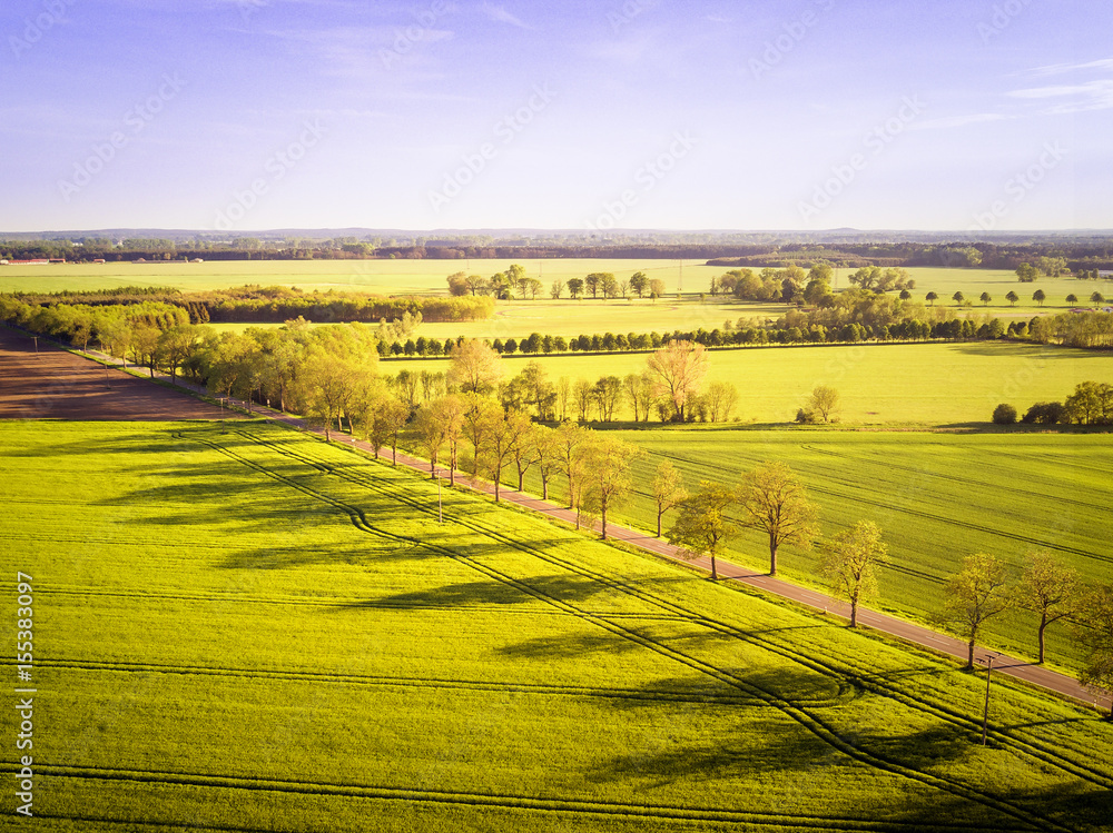 Fototapeta premium Weg